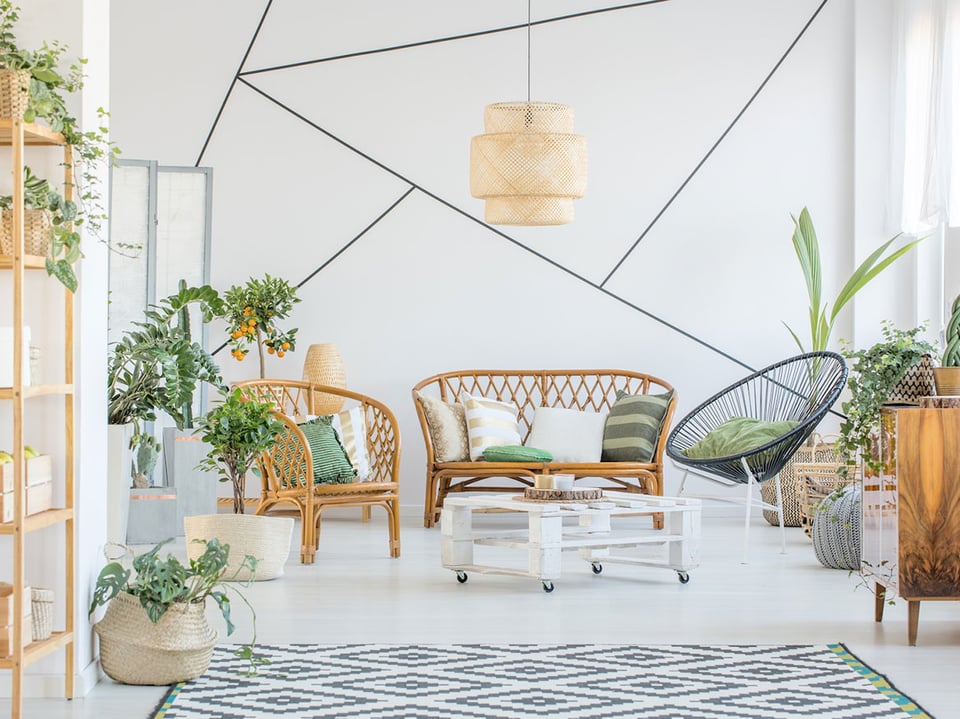 Home improvement and maintenance